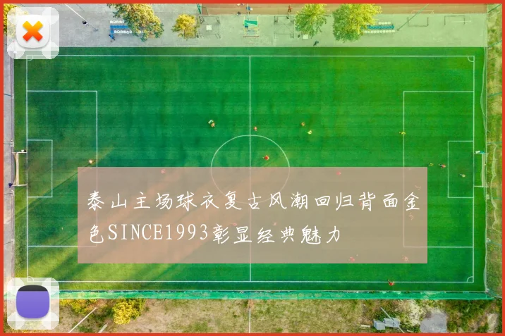 泰山主场球衣复古风潮回归背面金色SINCE1993彰显经典魅力