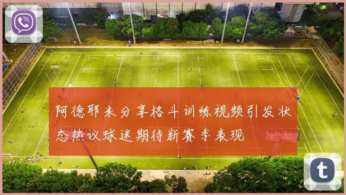 阿德耶米分享格斗训练视频引发状态热议球迷期待新赛季表现